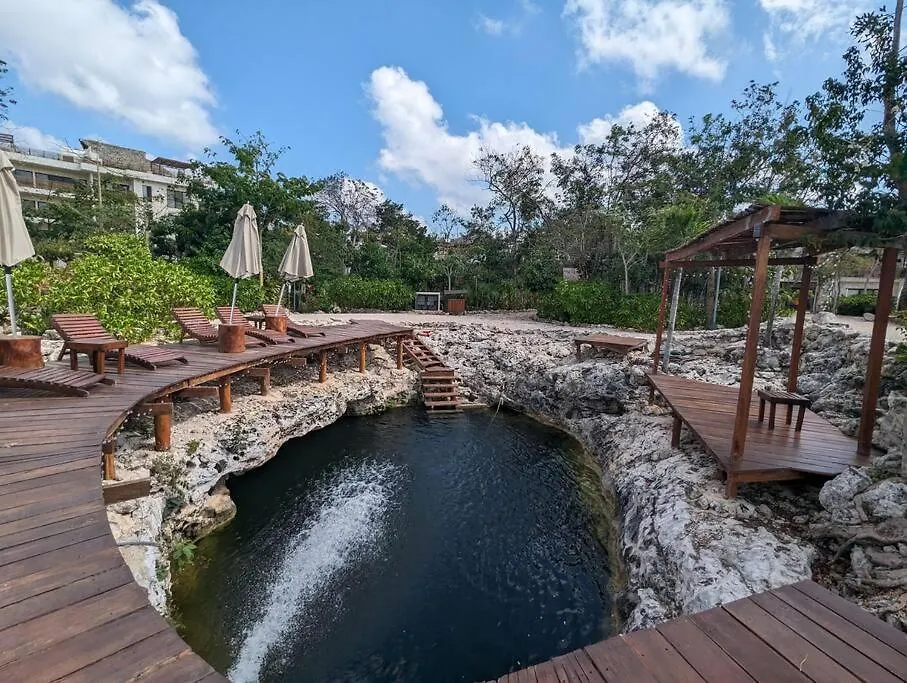 Suite Entre Cenotes Y Selva contacts